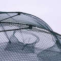 Free Sample Net Shrimp Gill Net Shrimp Net Aquarium